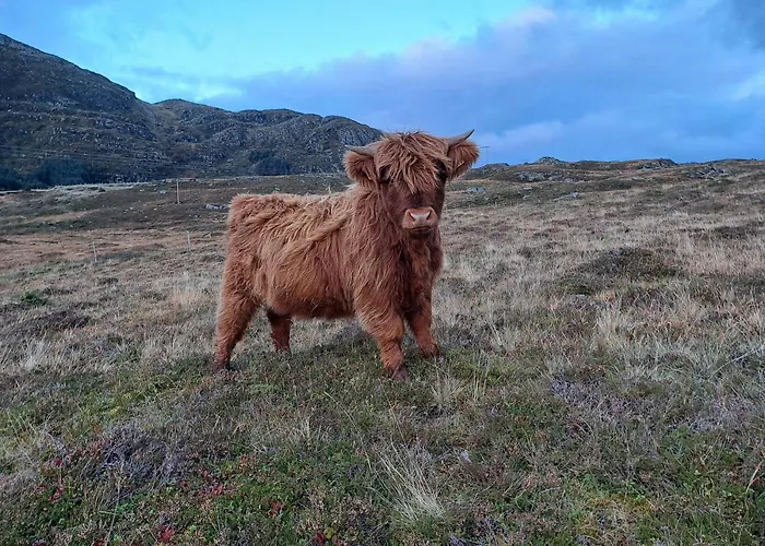 Restored By The Sea In Kvalheim Tatil Evi *